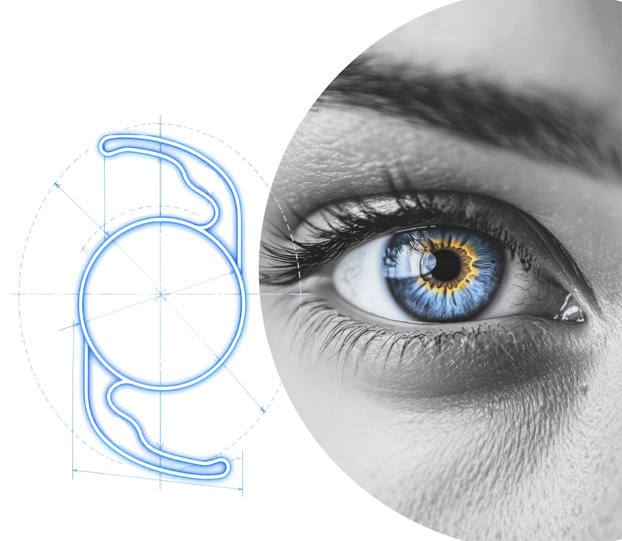 Intraocular lens and human eye